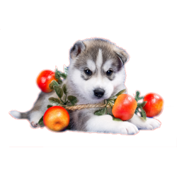 кабошон пластик №5